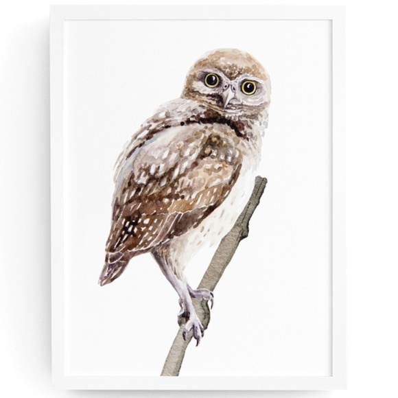 Other - Owl Wall Art Watercolor Illustration Print Poster Card Unframed